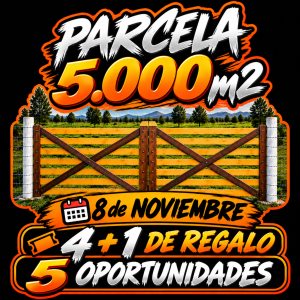 Pack 4 Stickers (Mas uno de Regalo)