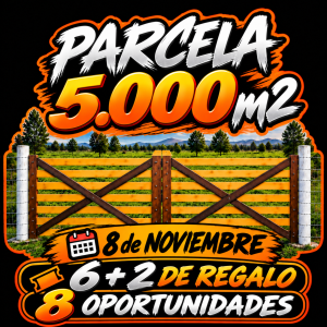 Pack 6 Stikers (Mas dos de Regalo)