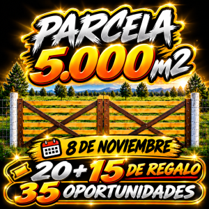 Pack 10 Stickers (Mas 5 de Regalo)