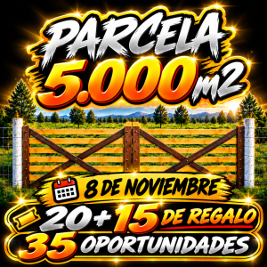 Pack 20 Stickers (Mas 15 de Regalo)
